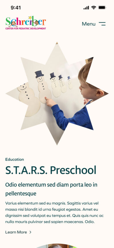 The Schreiber website image in the shape of an eight point star graphic plus content section in the viewport of a mobile device.
